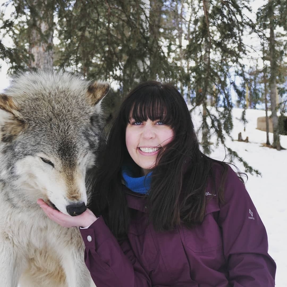 Meet your Posher, Lauren